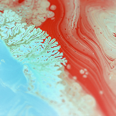 Life Sciences Update- Outlook for 2019 and Post-Brexit Implications
